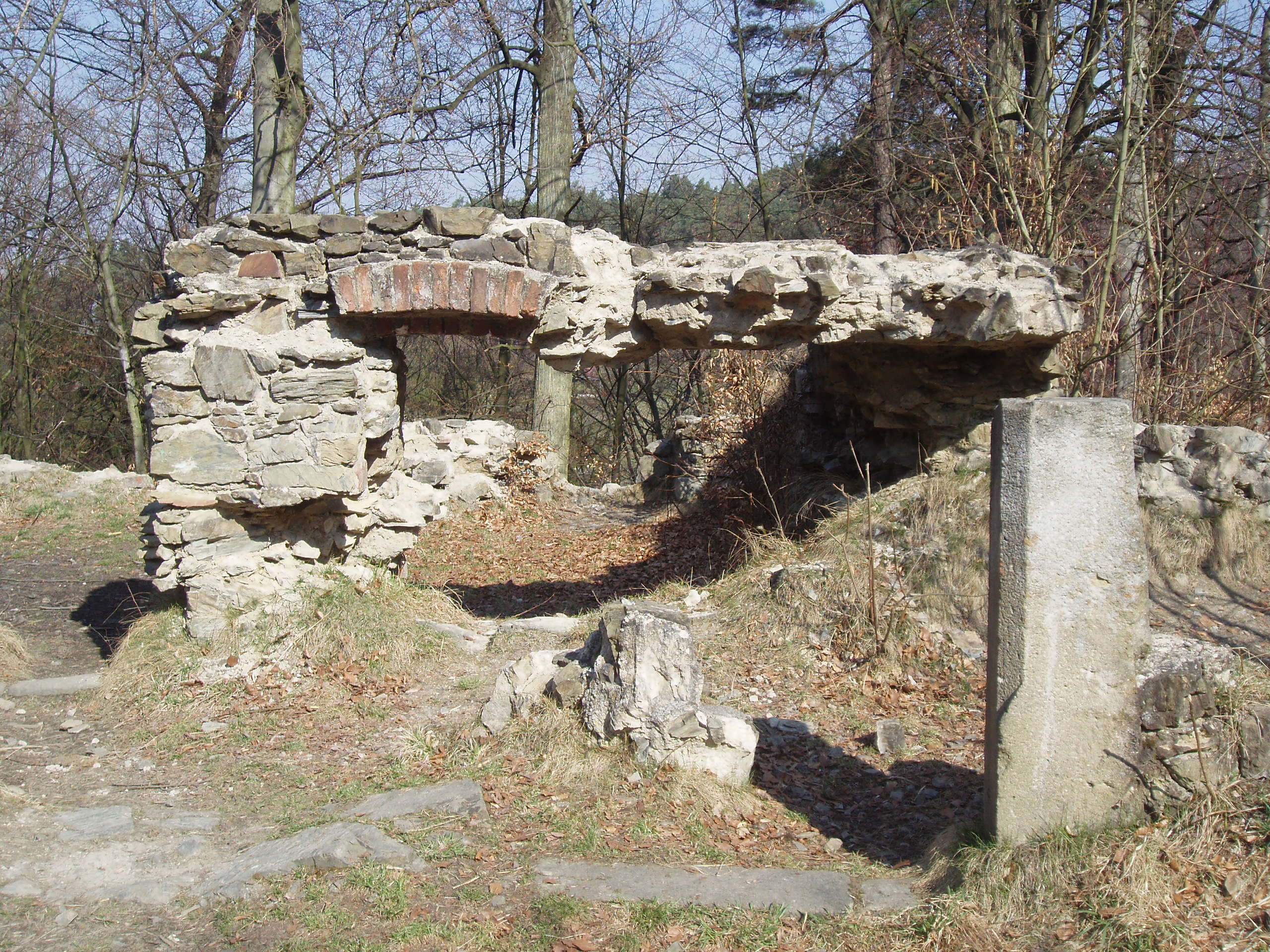 Zřícenina kláštera Kartouzka Dolany